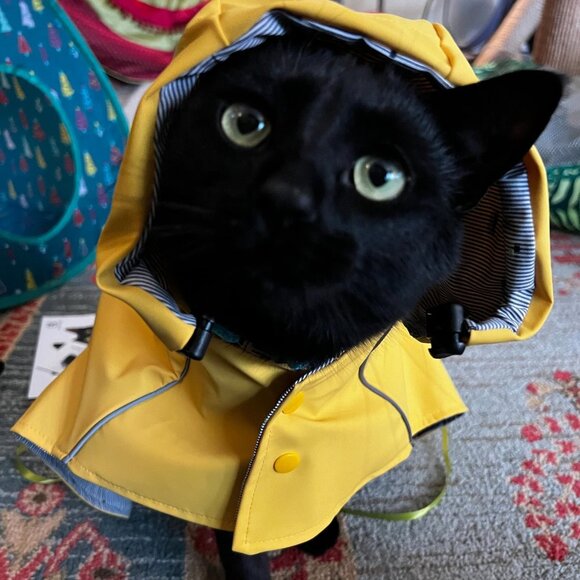 🐾 Cat Raincoat Waterproof Pet Rain Jacket Vintage Fisherman style Coat  🐾 - Picture 8 of 9